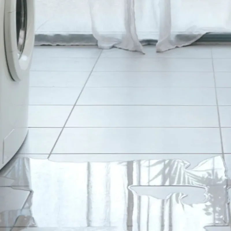 Appliance Leak Cleanup in Wright, FL